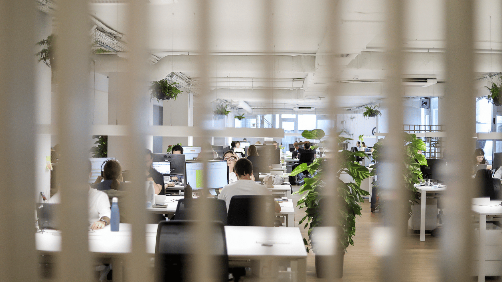 Lojas Emma Independent - junte-se à melhor equipa.