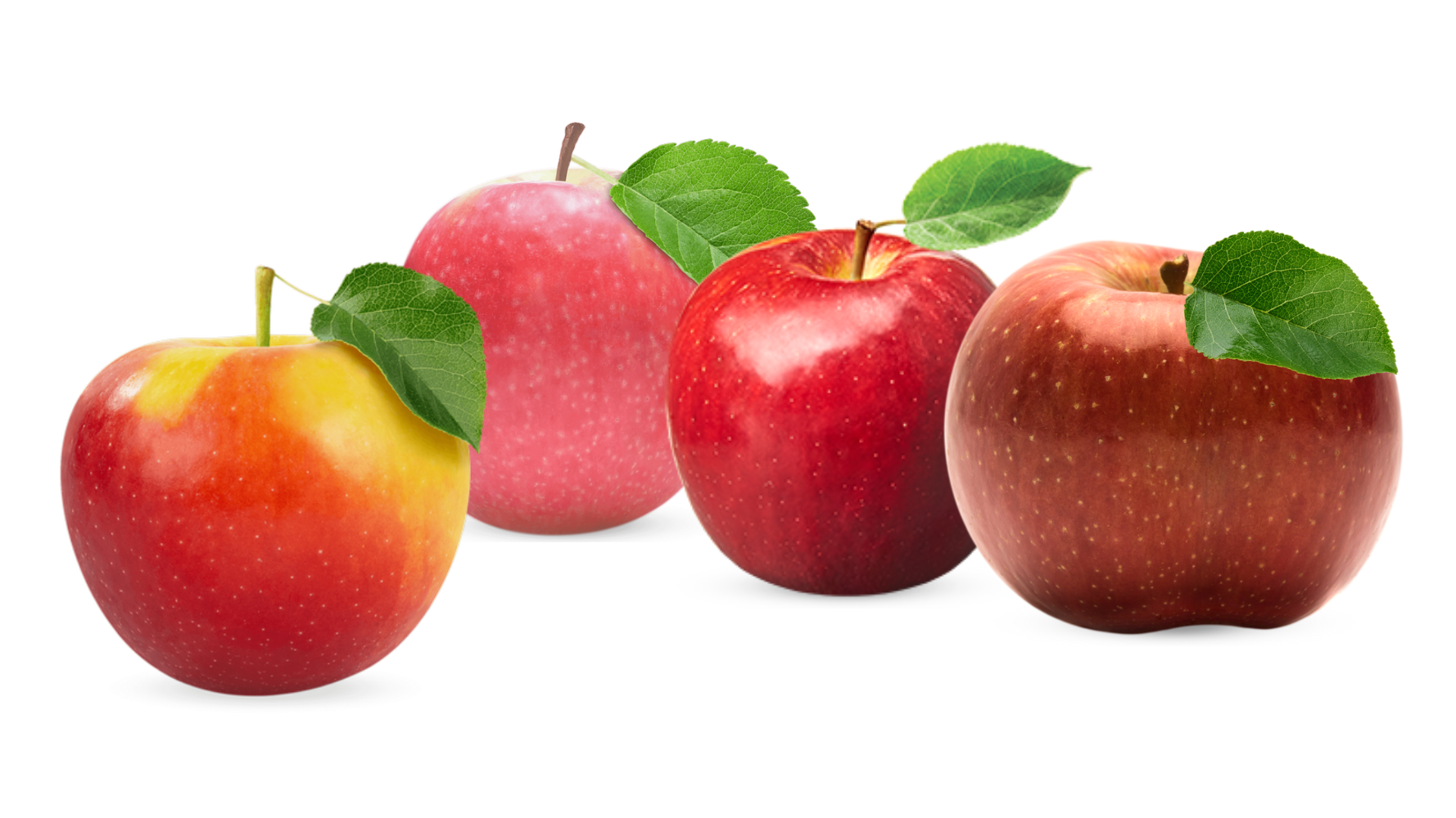 CMI Orchards Empowers Retailers to Elevate Produce Aisle