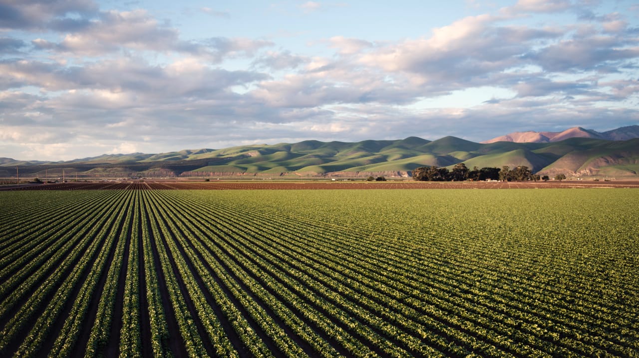 Organic Field USDA invests nearly $121M in specialty crops research and organic ...