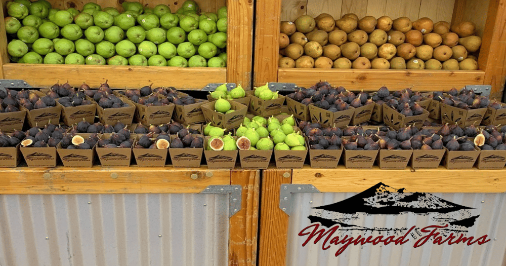 Maywood Farms Fresh Figs—A Longtime Specialty Favorite of the