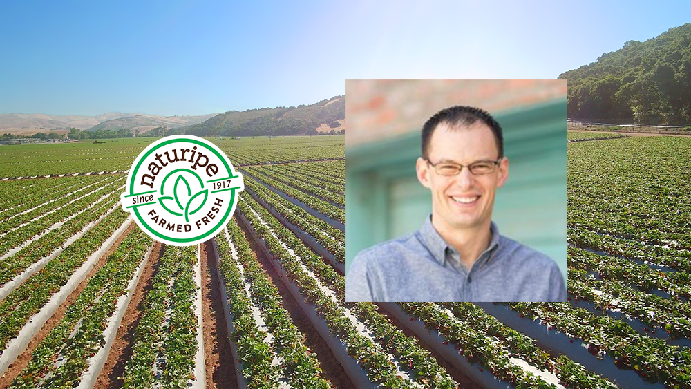 Naturipe Kicks Off California Organic Strawberry Season