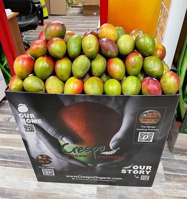 mango-mania-mangos.jpg?width=