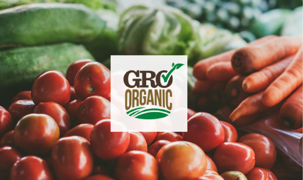 Gro Commerce What is GRO? Part II