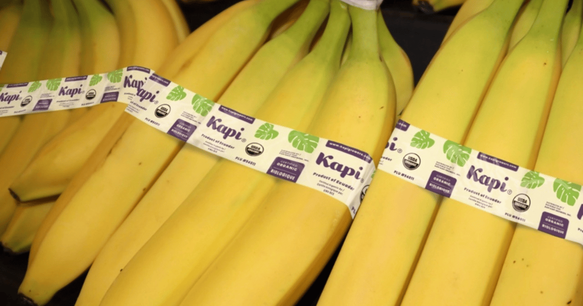 Kapi Kapi Growers now offers organic bananas as part of its sustainable ...
