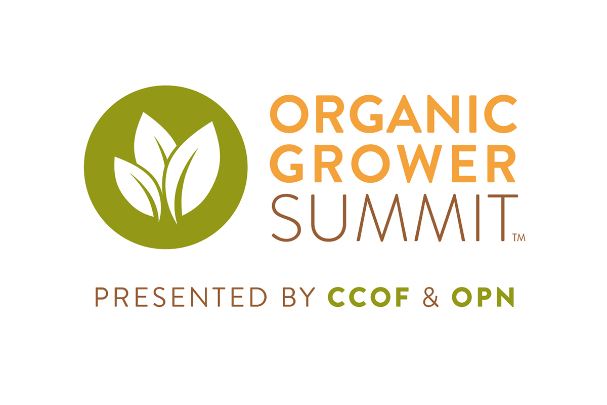 Virasat Pune - Branding :: Behance, image size:1200x800