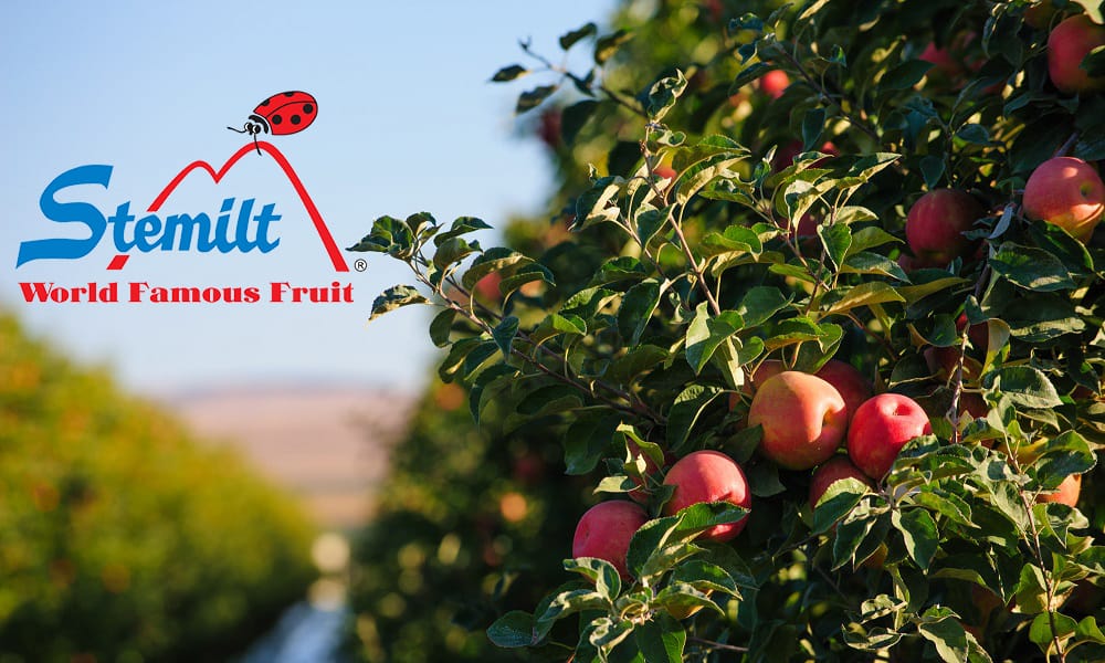 Stemilt Rocks Stemilt Focuses on Flavor to Keep Consumer Demand High for Organics