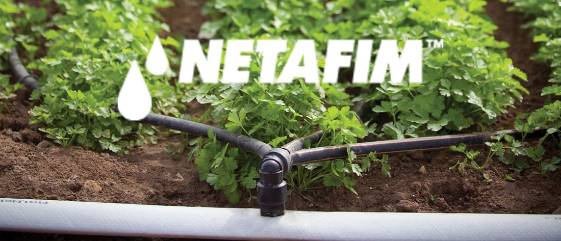 Netafim Values Netafim Irrigation Around Trees