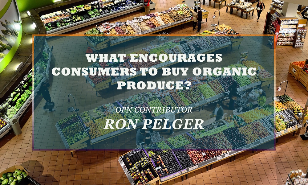 What Encourages Consumers to Buy Organic Produce? What Encourages Consumers to Buy Organic Produce?