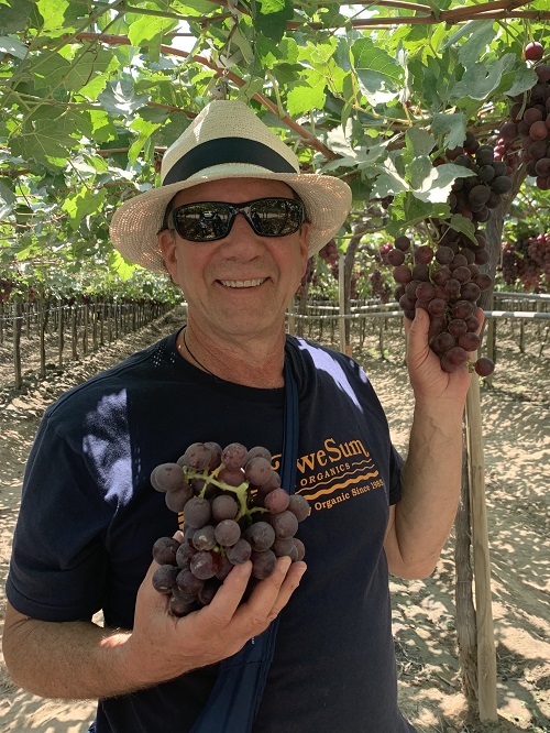 Awe Sum's Winter Organic Table Grape Season Begins
