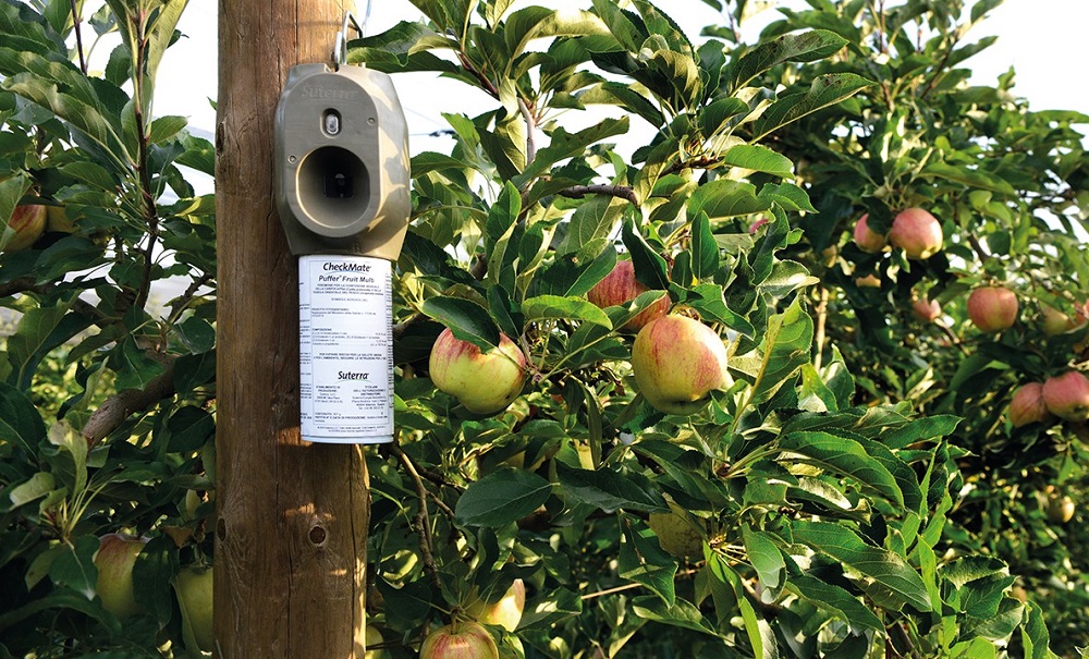 Suterra Celebrates 25 Years of Aerosol Mating Disruption Tech