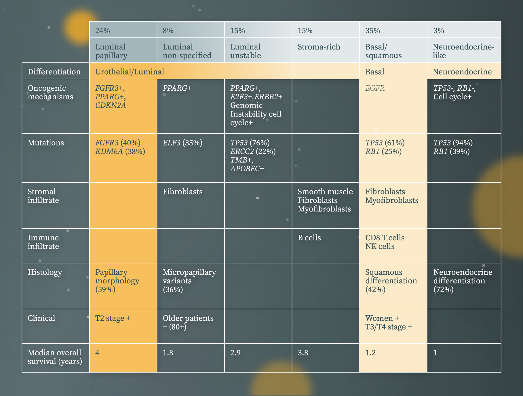 The molecular understanding of MIBC has led to a consensus classification of tumour classes with distinct oncogenic mechanisms