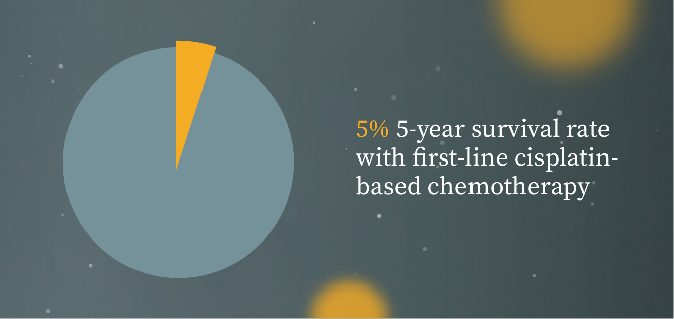 The treatment approach in LA/mUC remains controversial, with evidence in some areas of bladder cancer management limited and/or conflicting