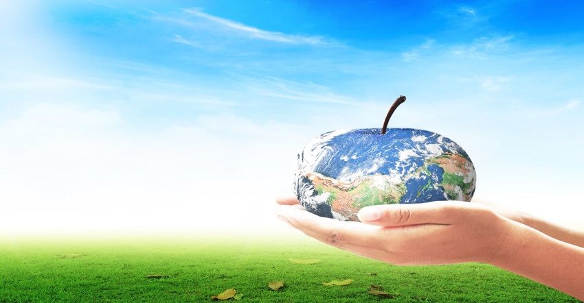 United Nations food initiatives United Nations food initiatives