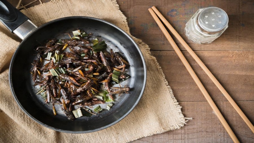 Edible Insects Market Seeing Growth