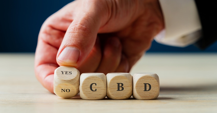 Looking back at 2019 developments for hemp and CBD.jpg Looking back at 2019 developments for hemp and CBD.jpg