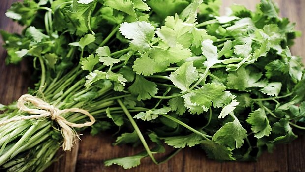 Cyclosporiasis Outbreak Traced to Cilantro from Mexico Cyclosporiasis Outbreak Traced to Cilantro from Mexico