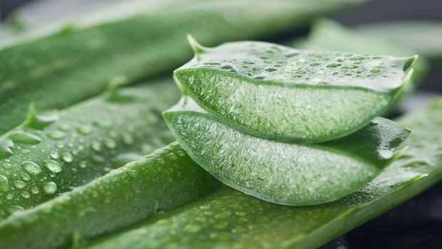 Vitamin E and Aloe: Ingredients for Healthy Skin