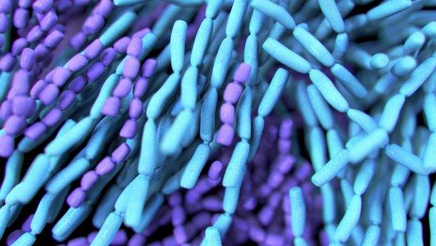 NPA Letter to FDA Seeks to Correct Probiotic Warnings