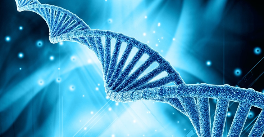 Personalized Nutrition Trends: Genetic Testing Personalized Nutrition Trends: Genetic Testing