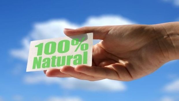 The High Potential of Hemp The High Potential of Hemp