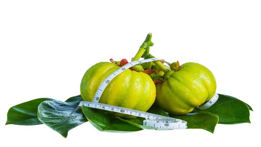 Research Behind Top Weight Management Ingredients