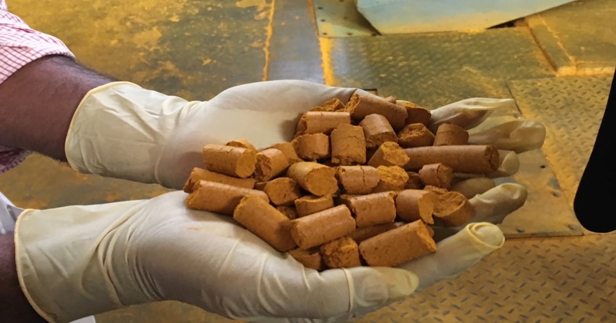 Turmeric liver warnings ignore long history of safety