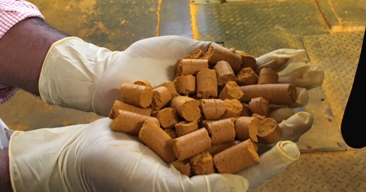 Turmeric liver warnings ignore long history of safety