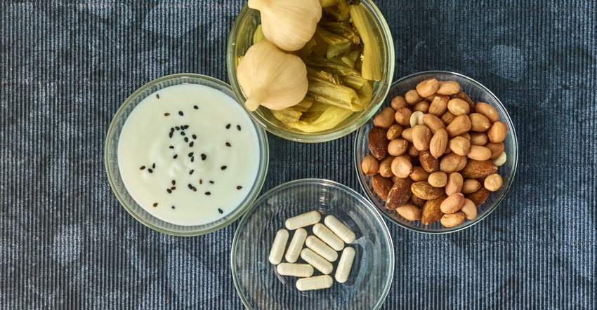 Effective delivery formats for probiotic formulations Effective delivery formats for probiotic formulations