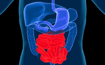 Immune health: Gut check Immune health: Gut check
