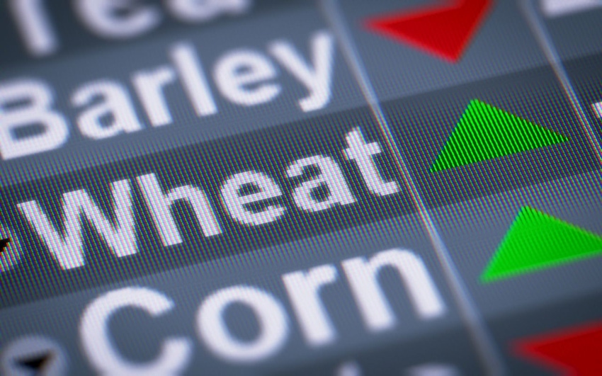 Cereal, dairy continue to drive FAO price index higher in March