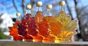 maple leaf syrup bottles