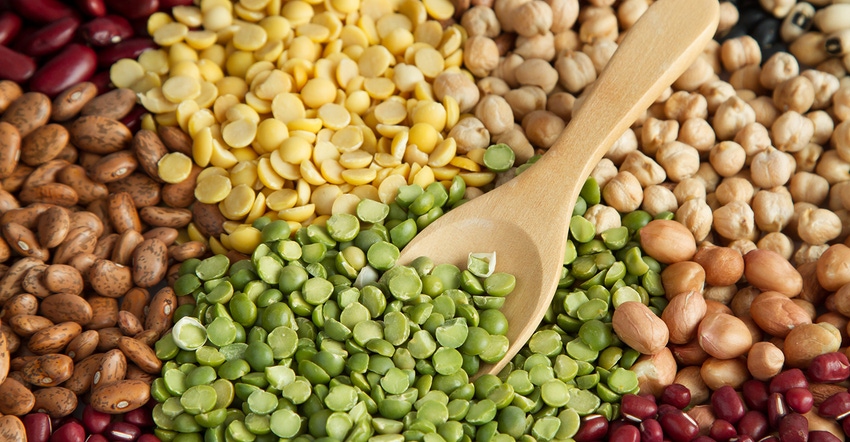 The plant-based protein market.jpg The plant-based protein market.jpg