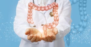 Popularity of prebiotics expected to continue rising with scientific research 1540x800.jpg
