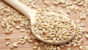 Barley improves blood sugar levels, reduces diabetes risk