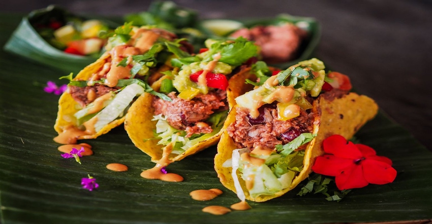 jackfruit tacos jackfruit tacos