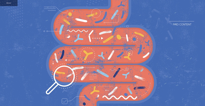 NPI22_GutMicrobiome_PDG_0323 1540x800-v1.jpg NPI22_GutMicrobiome_PDG_0323 1540x800-v1.jpg