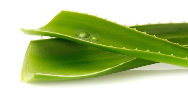 saponin aloe vera Pure Aloe Vera Mineral Scrub Bar Soap main image 0