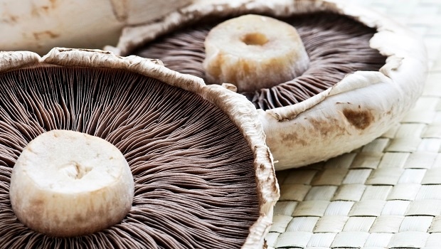 Mushroom Extract May Eliminate HPV in Women