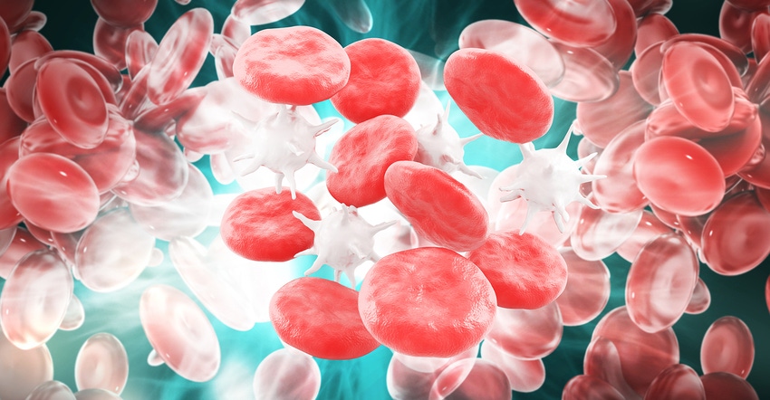 Zinc does not increase white blood cell circulation.jpg Zinc does not increase white blood cell circulation.jpg