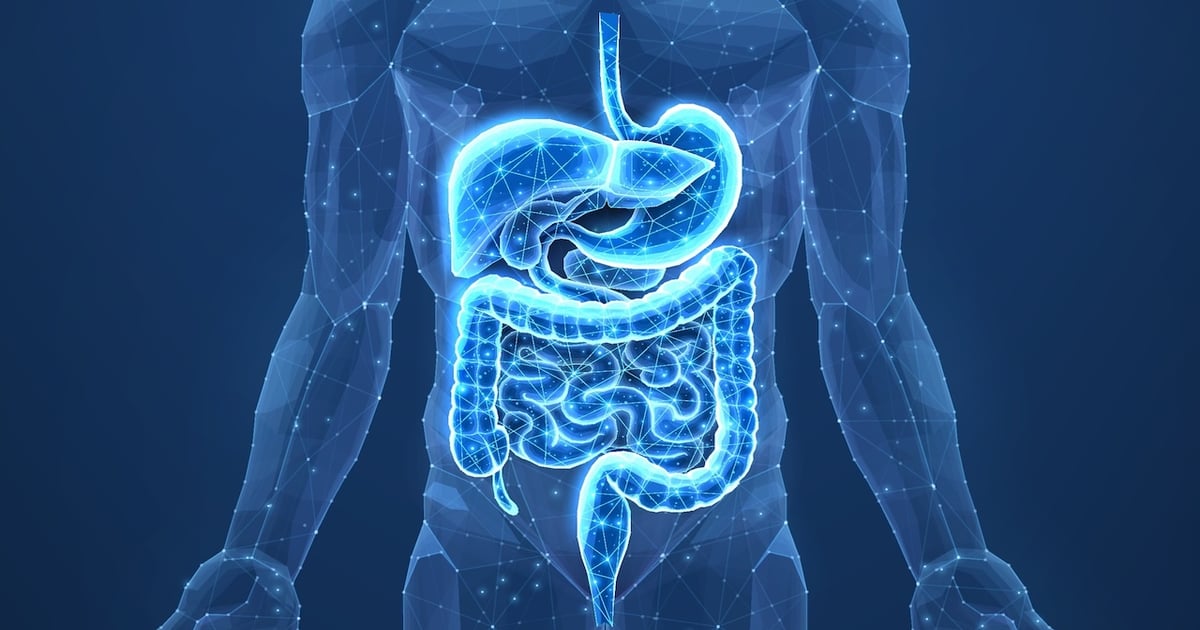 Leveraging nutrient sensing for next-gen supplement design
