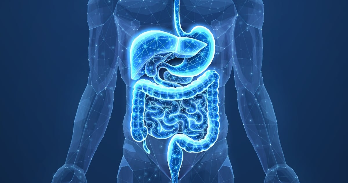 Leveraging nutrient sensing for next-gen supplement design