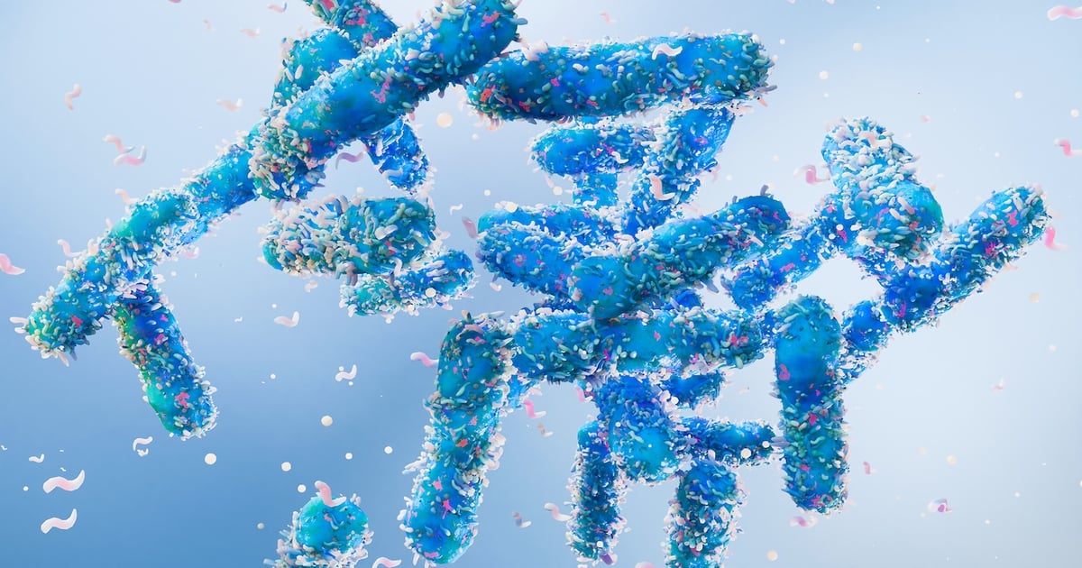 Supplement Shorts: Probiotics provide menopausal support via gut-hormone axis