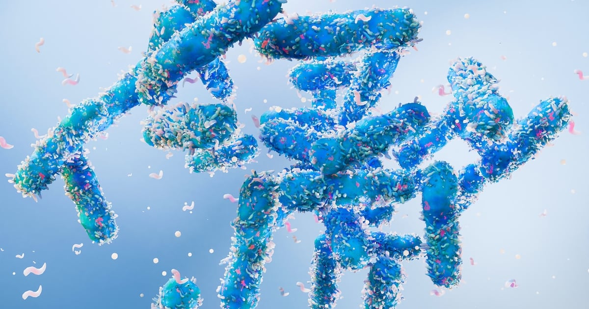 Supplement Shorts: Probiotics provide menopausal support via gut-hormone axis