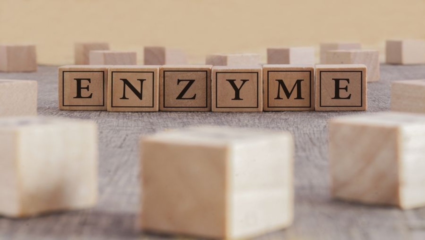 Common Issues with Testing Enzymes for Label Claims Common Issues with Testing Enzymes for Label Claims