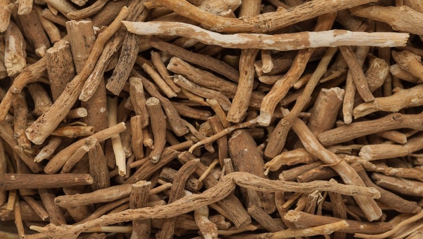 Market, regulatory landscape for global Ashwagandha market