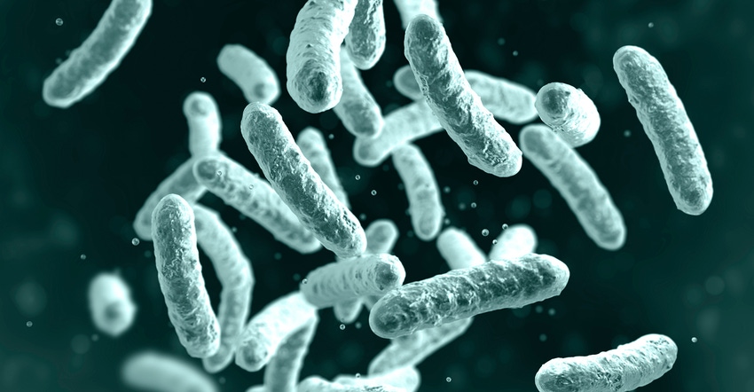 The history of probiotic taxonomy changes_0.jpg The history of probiotic taxonomy changes_0.jpg