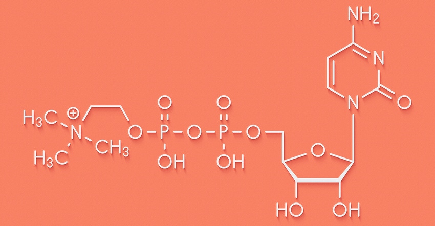 Citicoline to improve mental performance.jpg Citicoline to improve mental performance.jpg