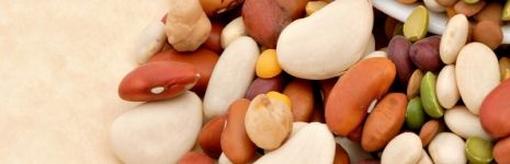 The Power of Beans The Power of Beans