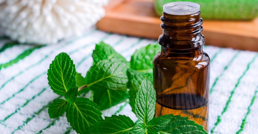 Five impactful ingredients for sleep and stress support.jpg Five impactful ingredients for sleep and stress support.jpg