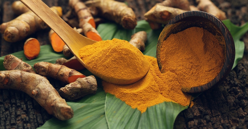 The role of resistant starch from turmeric.jpg